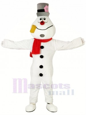 Drôle Bonhomme de neige Mascotte Les costumes Dessin animé Noël 