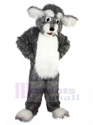Poil long Chien gris Mascotte Costume aux grandes oreilles Animal