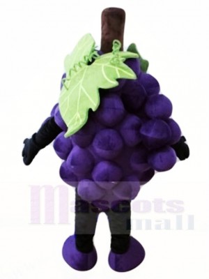 Violet Grain de raisin Mascotte Les costumes Fruit Aliments Plante