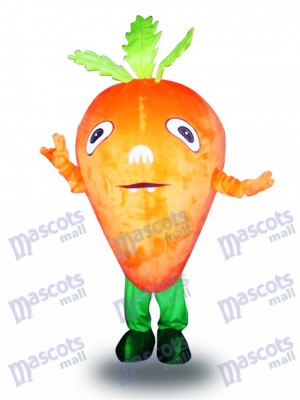 Carotte de légumes de carotte orange Légume de légume alimentaire