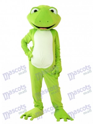 Costume de mascotte de grenouille verte Animal