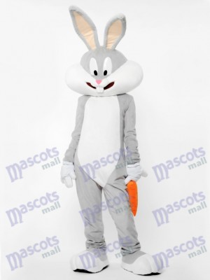 Lapin gris avec costume de mascotte de carotte Animal