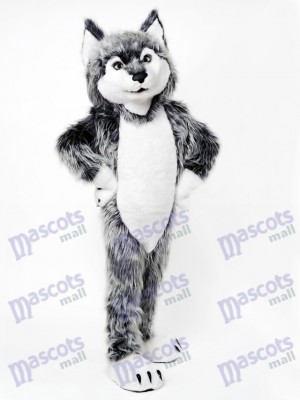 Costume de mascotte loup gris Animal