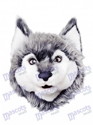 Tête de mascotte de loup gris seulement Animal