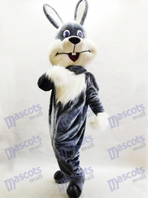 Lapin gris Lapin de Pâques Lièvre costume de mascotte des animaux