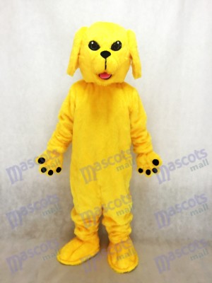 Nouveau mignon Golden Lab Mascotte de chien Costume Animal