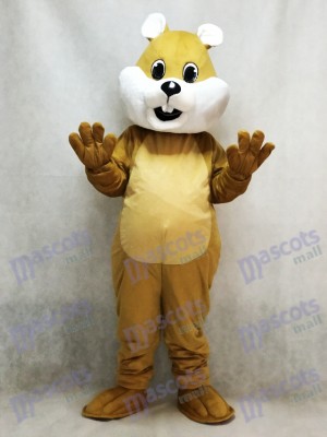 Costume de mascotte écureuil potelé avec animal ventre blanc