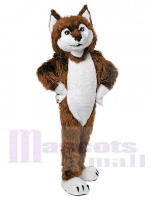 Mignon marron Loup Mascotte Costume Animal