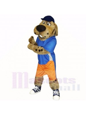 École de costumes de mascotte chien de sport avec chapeau bleu