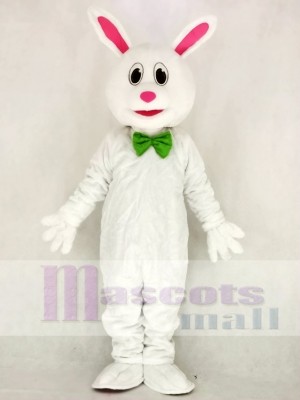 Marrant Pâques lapin Mascotte Costume École