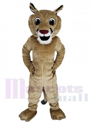 Couguar Mountain Lion Mascotte Costume Animal