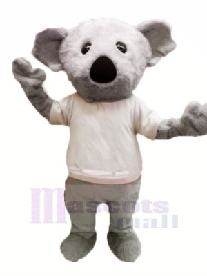 Velu Gris Koala Mascotte Les costumes Dessin animé