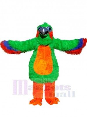 Perroquet de couleur Oiseau Mascotte Costume Animal