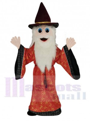 Merlin Wizard Mascotte Costume Dessin animé
