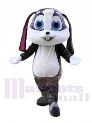 Bleu lapin avec costume Mascotte Les costumes Animal