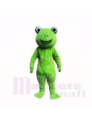 vert La grenouille Costumes De Mascotte Dessin animé