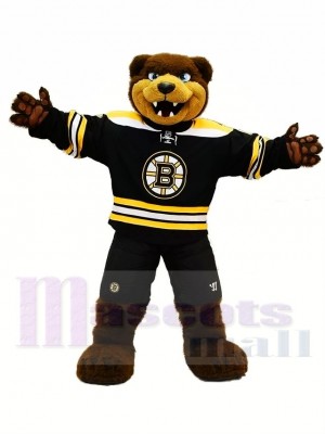 Boston Bruins Lames Costume de mascotte