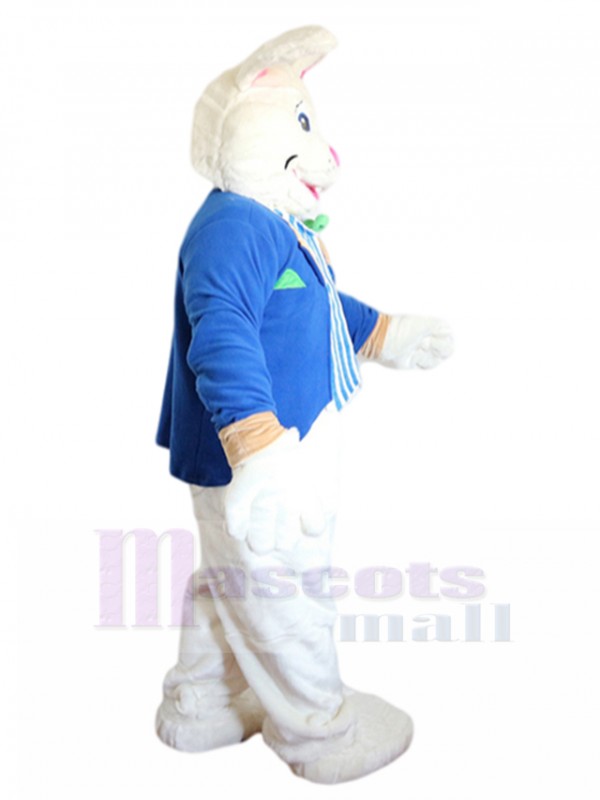 Lapin costume de mascotte