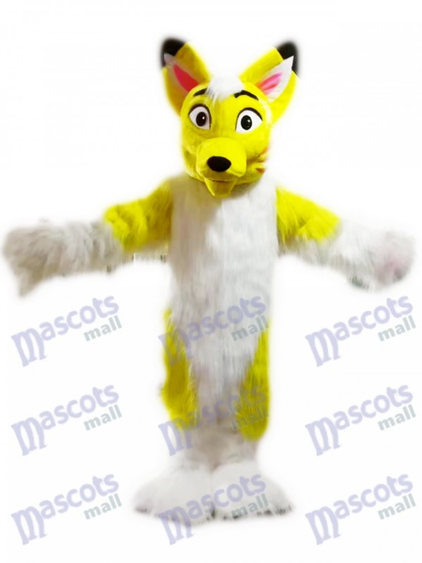 Dessin animé de costume de mascotte Fox jaune chien husky