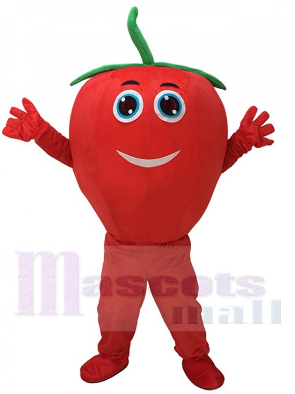 Tomate rouge mignonne avec le costume de mascotte de sourire