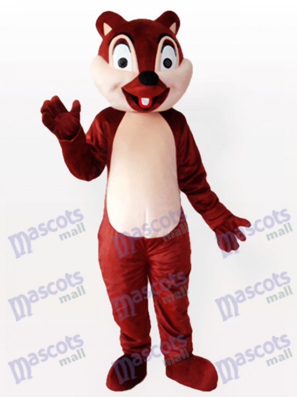Écureuil brun minuscule avec un costume incisif de mascotte adulte